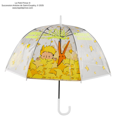 The World's Only Transparent Umbrella
