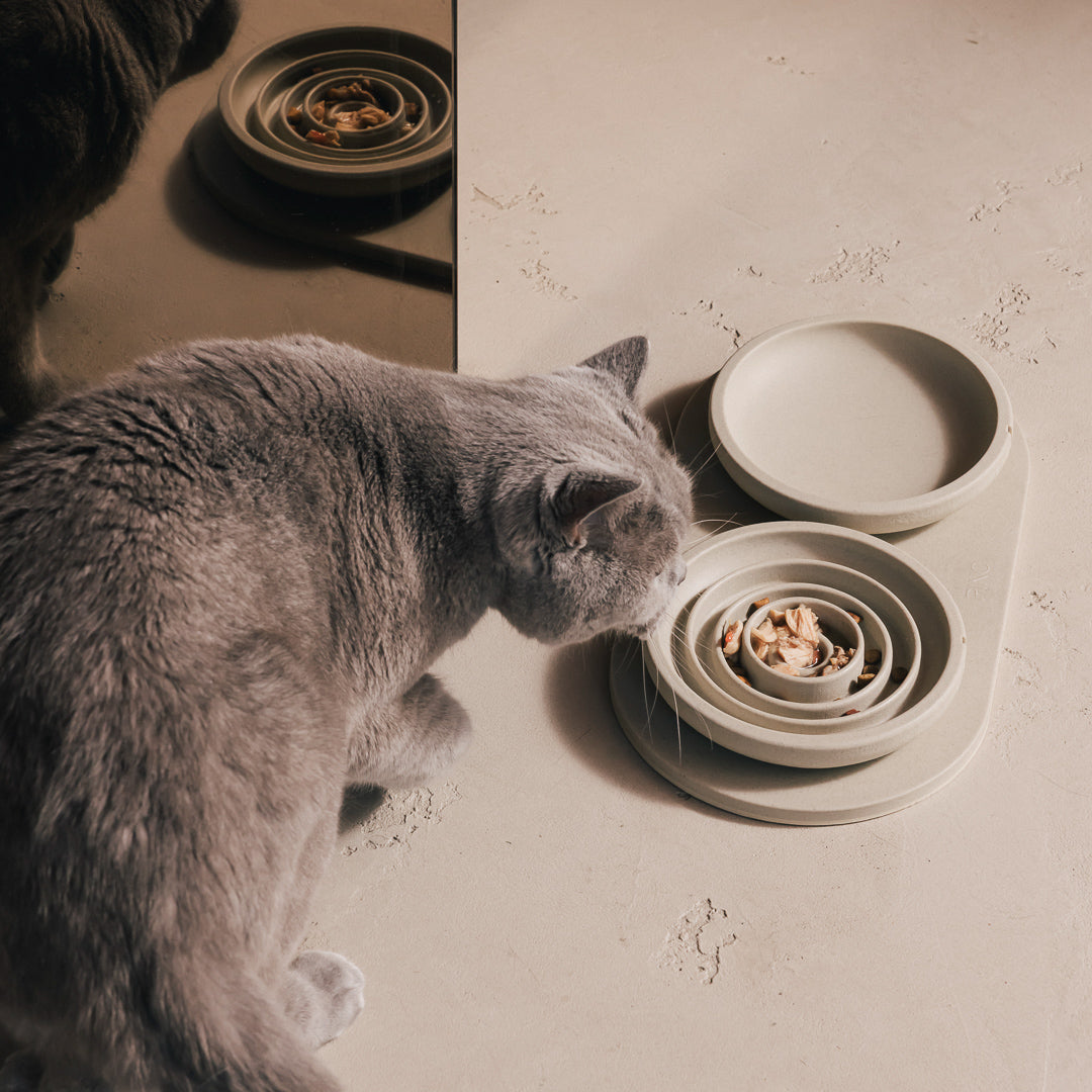 Slow Feeder Bowl for Cats – product view 10