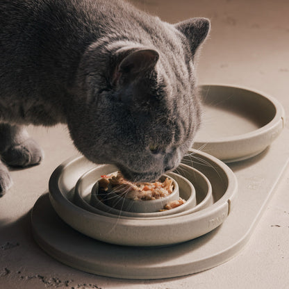 Slow Feeder Bowl for Cats – product view 12