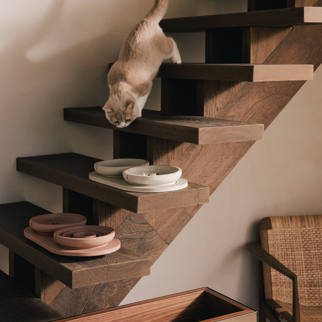 Napf-Tablett für Katzen – Produktansicht 11