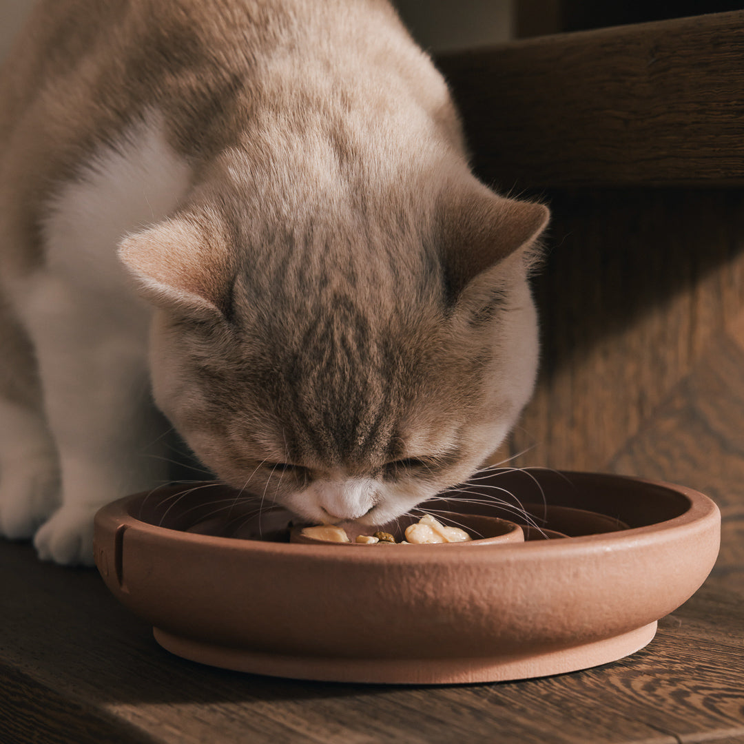 Slow Feeder Bowl for Cats – product view 13