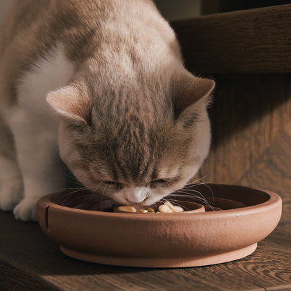 Slow Feeder Bowl for Cats – product view 13