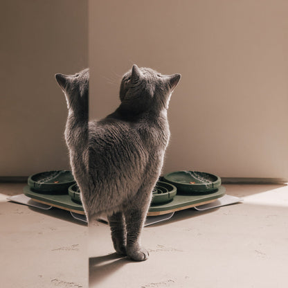 Perfect Posture Set für Katzen – Hauptansicht