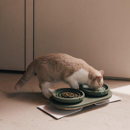 Slow Feeder Bowl for Cats – product view 18
