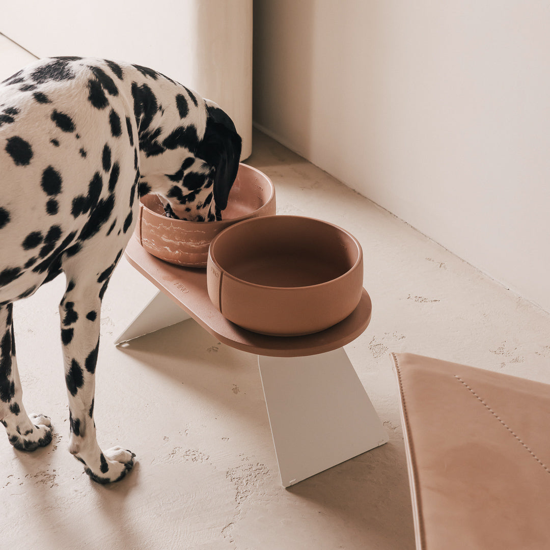 Perfect Posture Set für Hunde – Hauptansicht