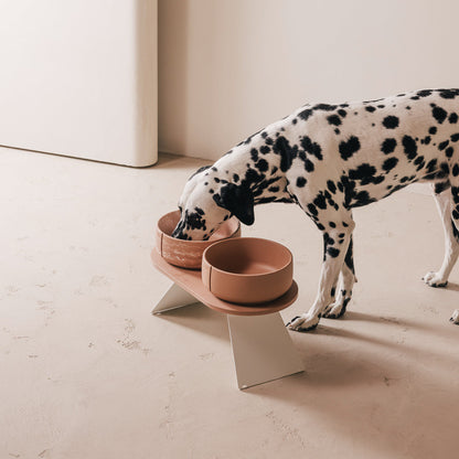 Perfect Posture Set für Hunde – Produktansicht 8