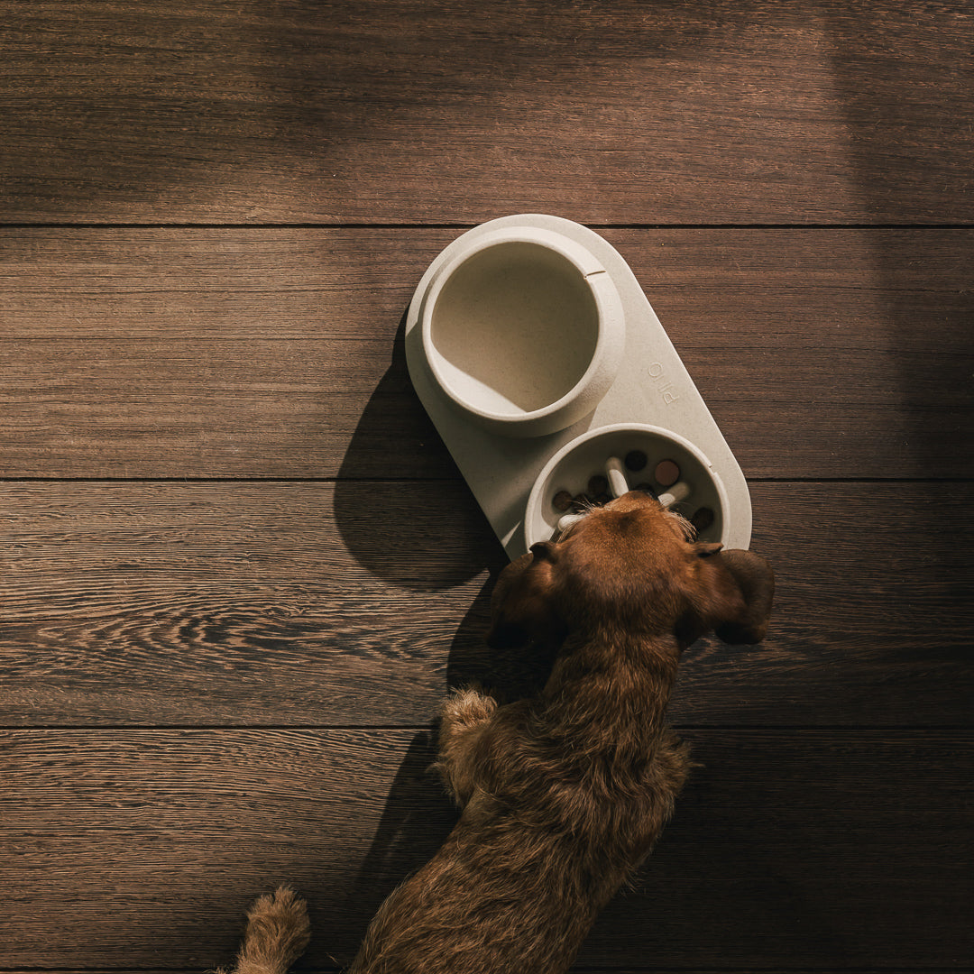 Napf-Tablett für Hunde – Produktansicht 4