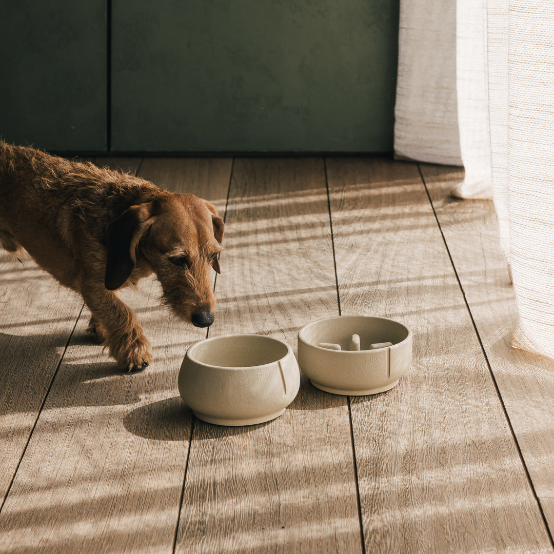 Long Ears Napf – Produktansicht 14