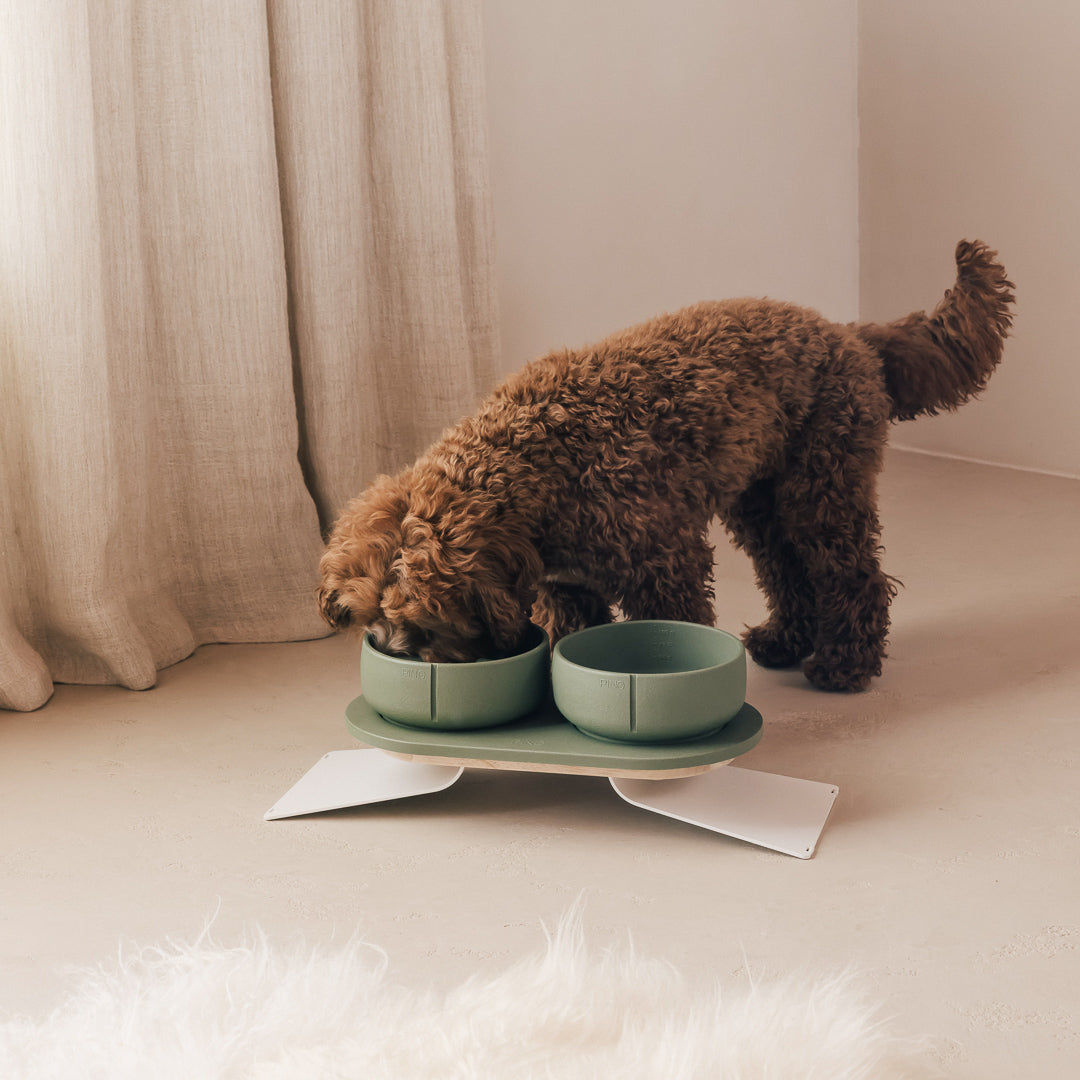 Napf-Tablett für Hunde – Produktansicht 50