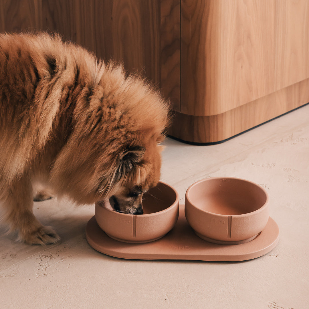 Napf-Tablett für Hunde – Produktansicht 34