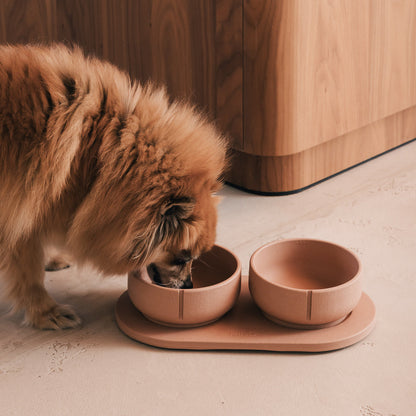 Napf-Tablett für Hunde – Produktansicht 34