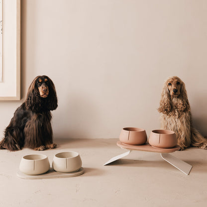 Perfect Posture Set für Hunde – Produktansicht 23