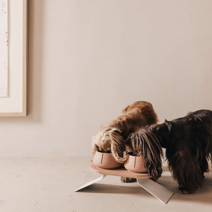 Perfect Posture Set für Hunde – Produktansicht 24
