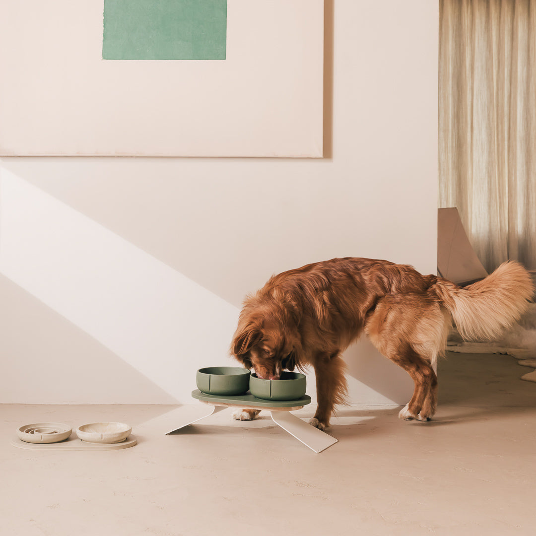 Raised Tray Extension – Produktansicht 12