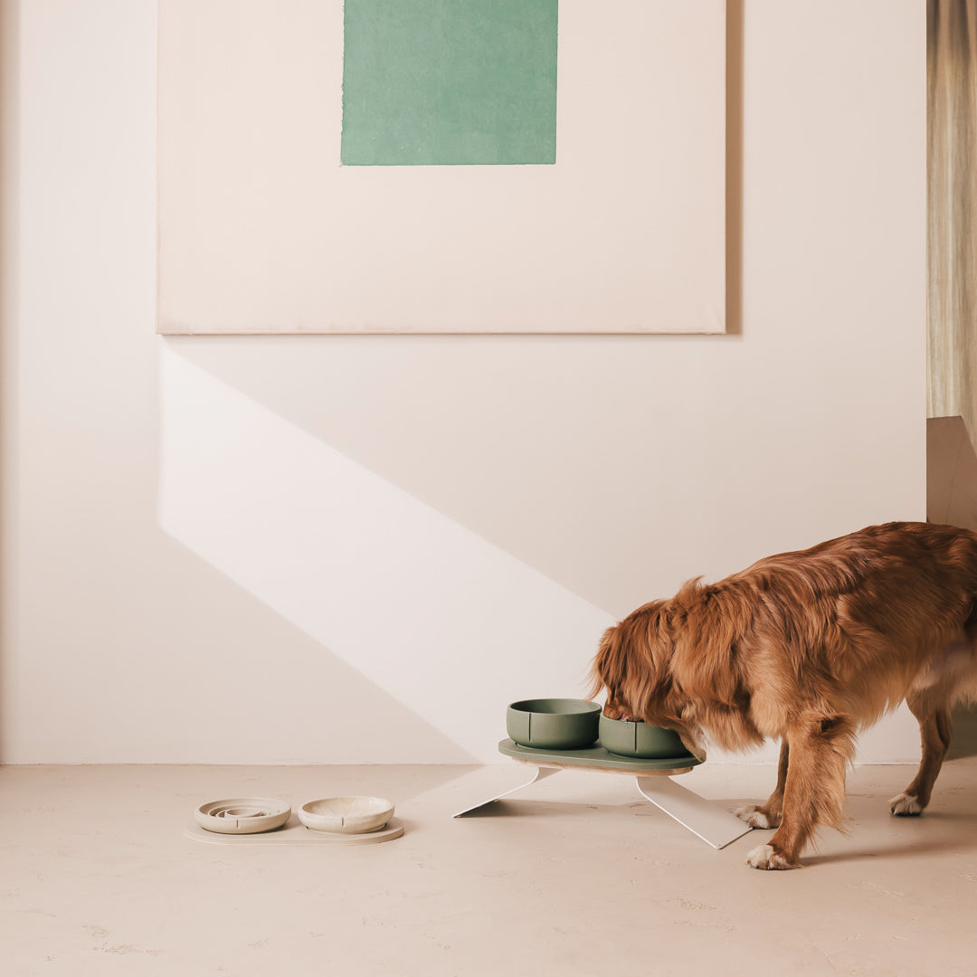 Perfect Posture Set für Hunde – Produktansicht 32