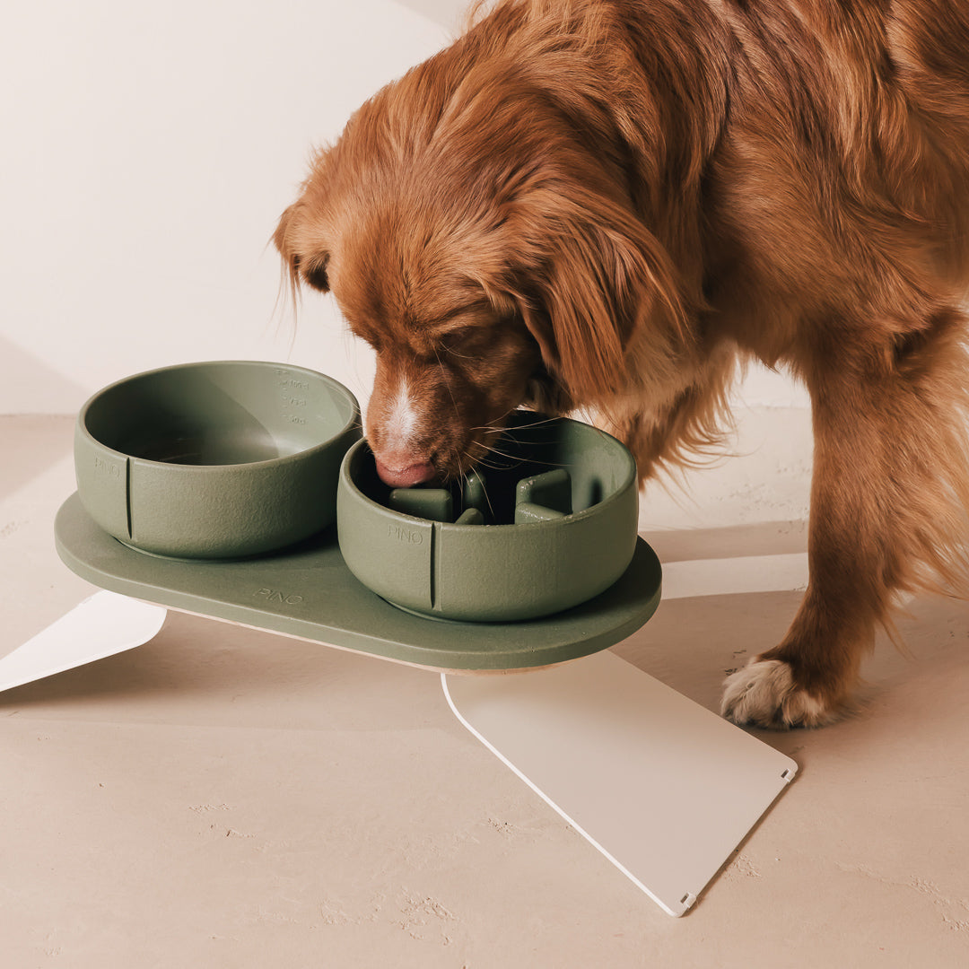 Perfect Posture Set für Hunde – Produktansicht 9