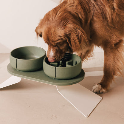 Perfect Posture Set für Hunde – Produktansicht 9