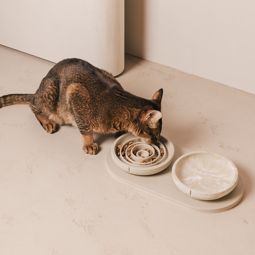 Napf-Tablett für Katzen