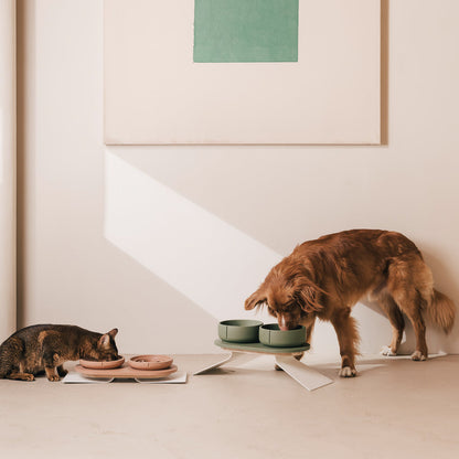 Perfect Posture Set für Hunde – Produktansicht 3