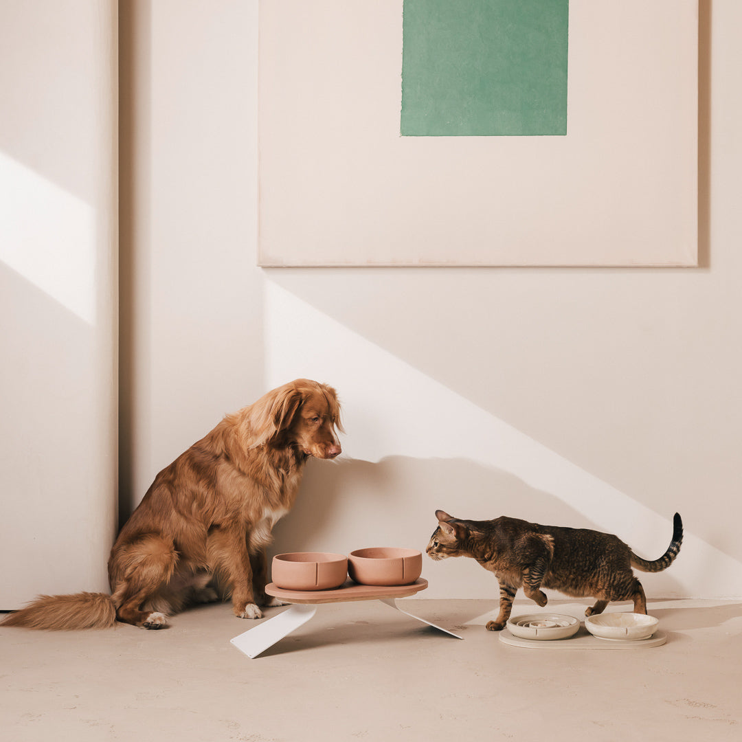 Perfect Posture Set für Hunde – Produktansicht 25