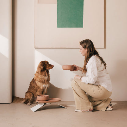 Perfect Posture Set für Hunde – Produktansicht 22