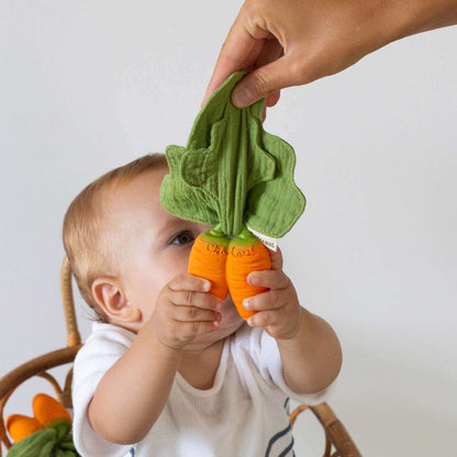 Cathy the Carrot Mini Comforter-Teether