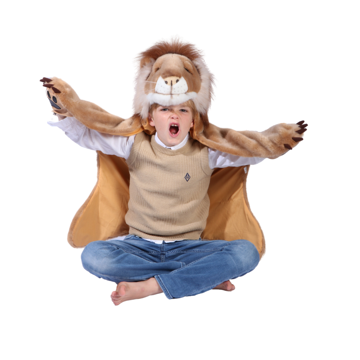 Déguisement enfant Lion