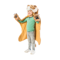 Déguisement enfant Lion