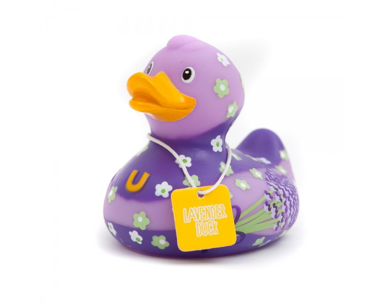 Lavender duck