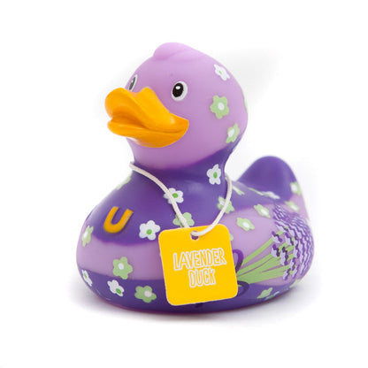 Lavender duck