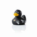 Canard Pop Peace