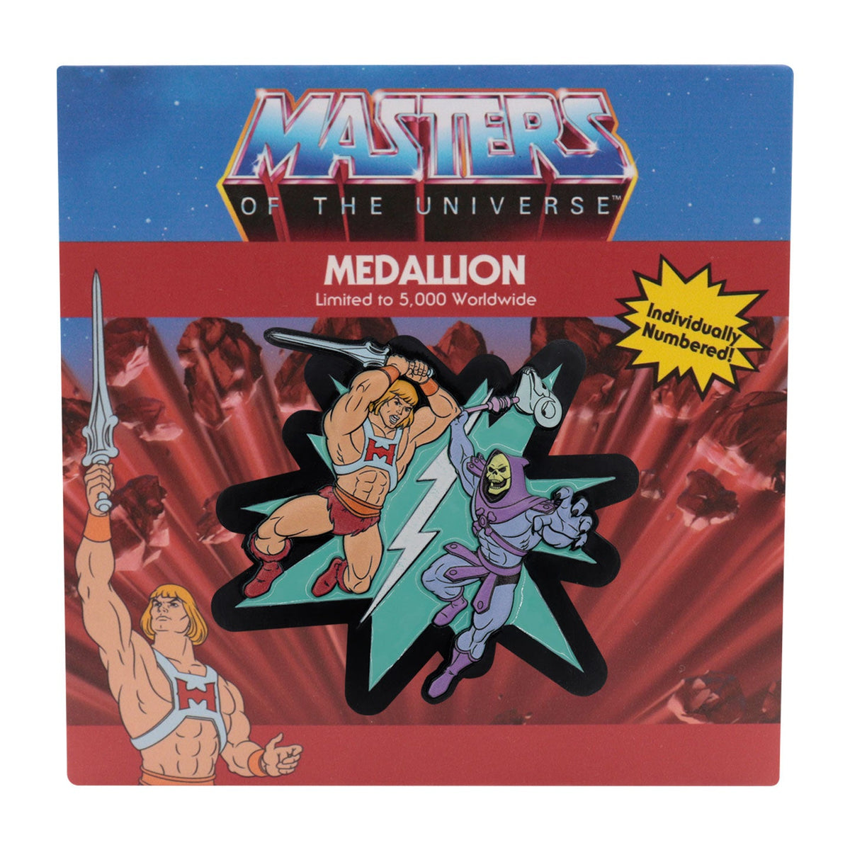 Médaillon collector Masters of the Universe - He-Man vs Skeletor