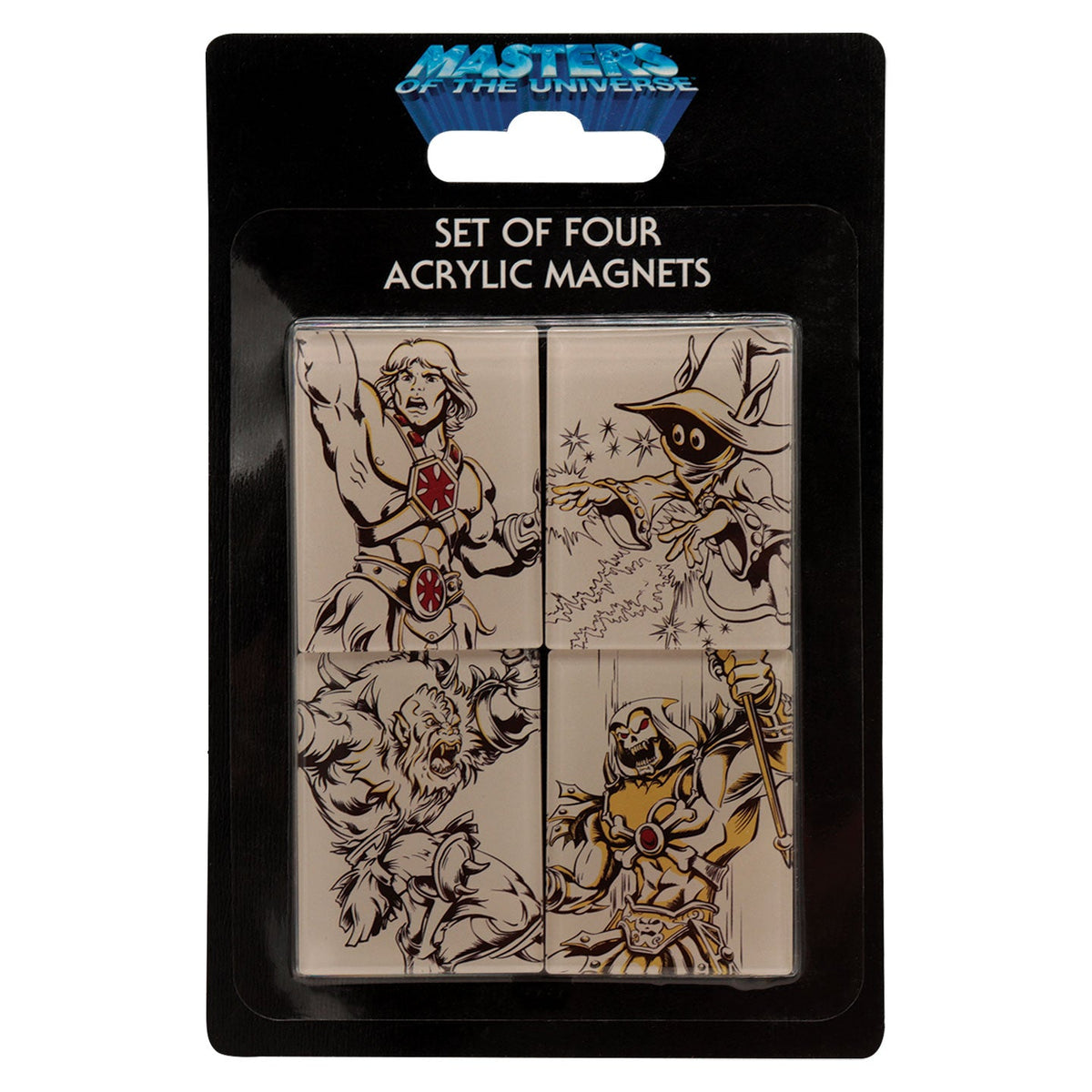 Set de 4 magnets Masters of the Universe