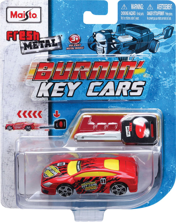 Fresh metal car keys, 24-piece assortment