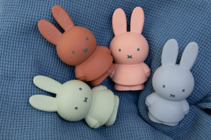 Money box Miffy Warm Edition S 