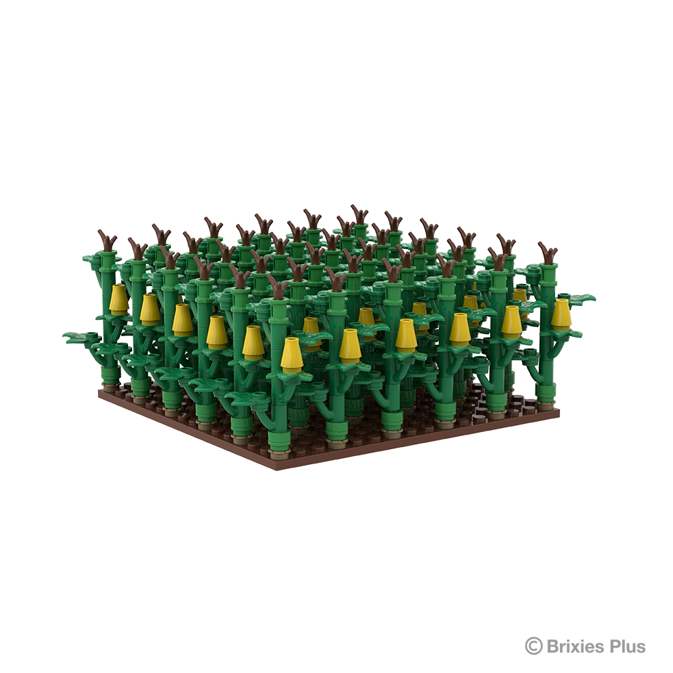 BRIXIES Plus Cornfield