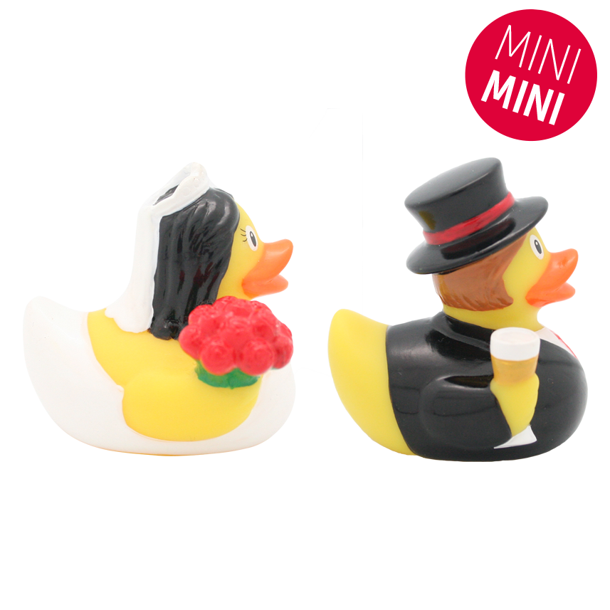 Mini married ducks