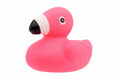 Mini-Enten Flamants Roses