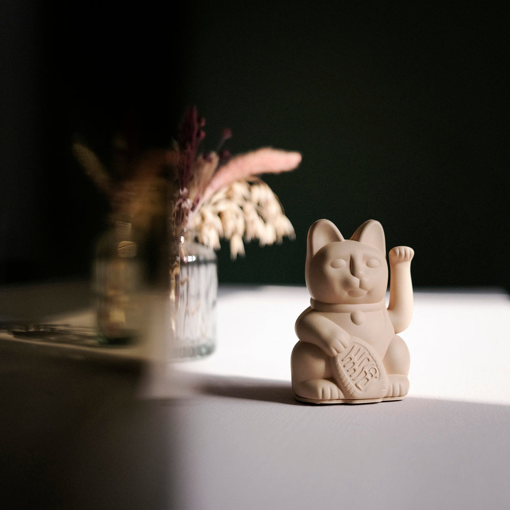 Lucky Mini Cat Ocra