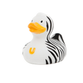 Mini anatra zebra