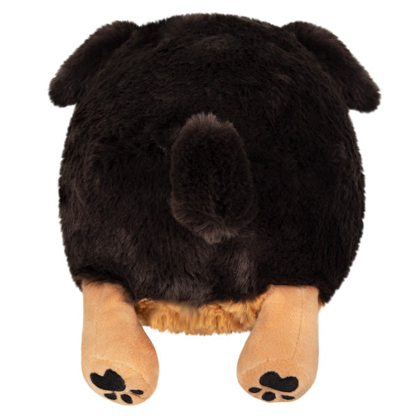 Peluche Mini Squishable – Teckel Tout Doux