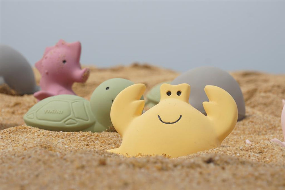 My First Sea Animal – Whale