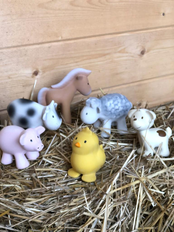 My first sheep farm animal