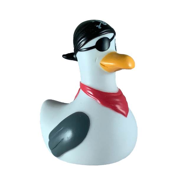 Mouette Pirate