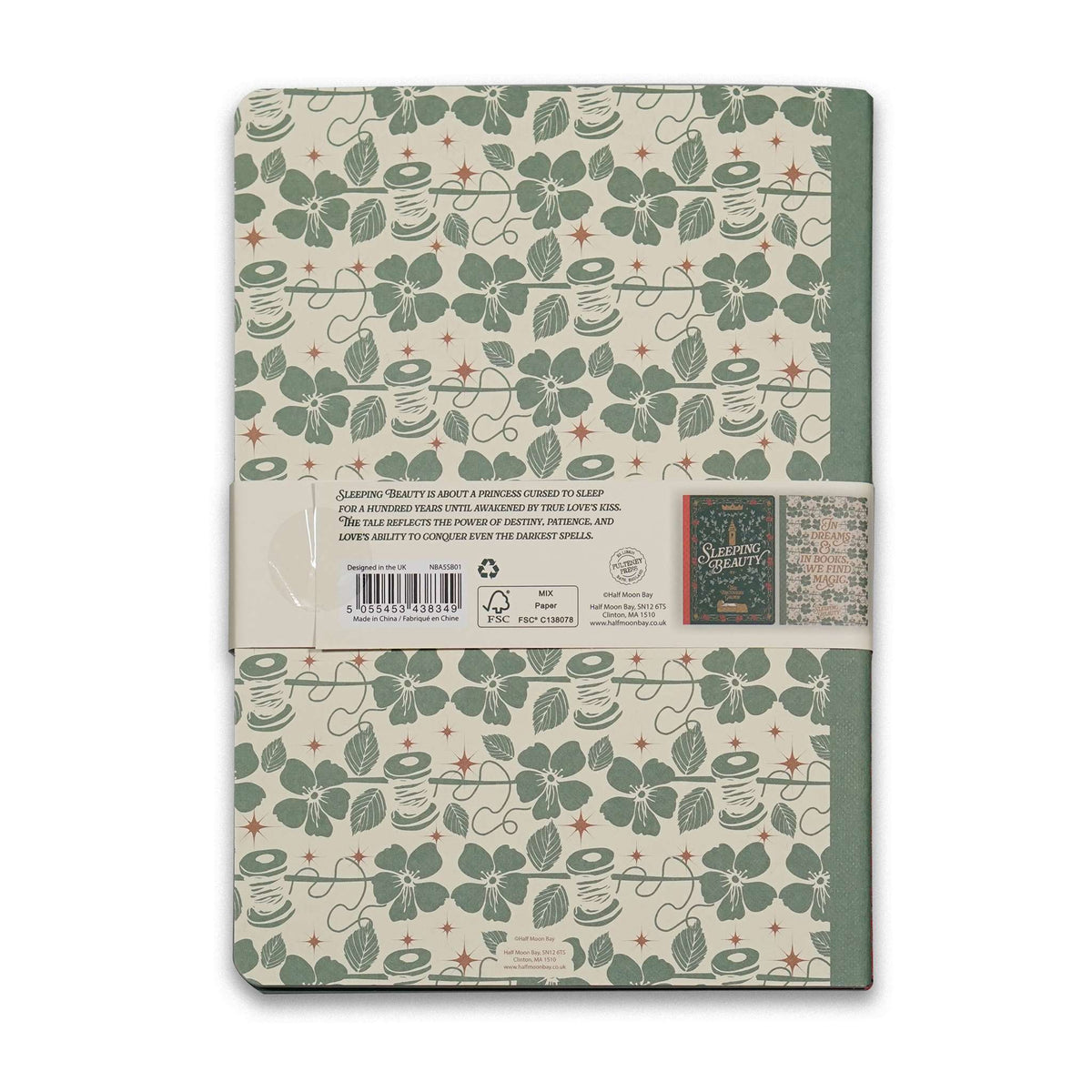 Lot de 2 carnets A5 La Belle au bois dormant