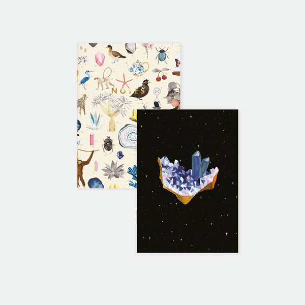 Curiosity - A6 Pocket Notebook Duo