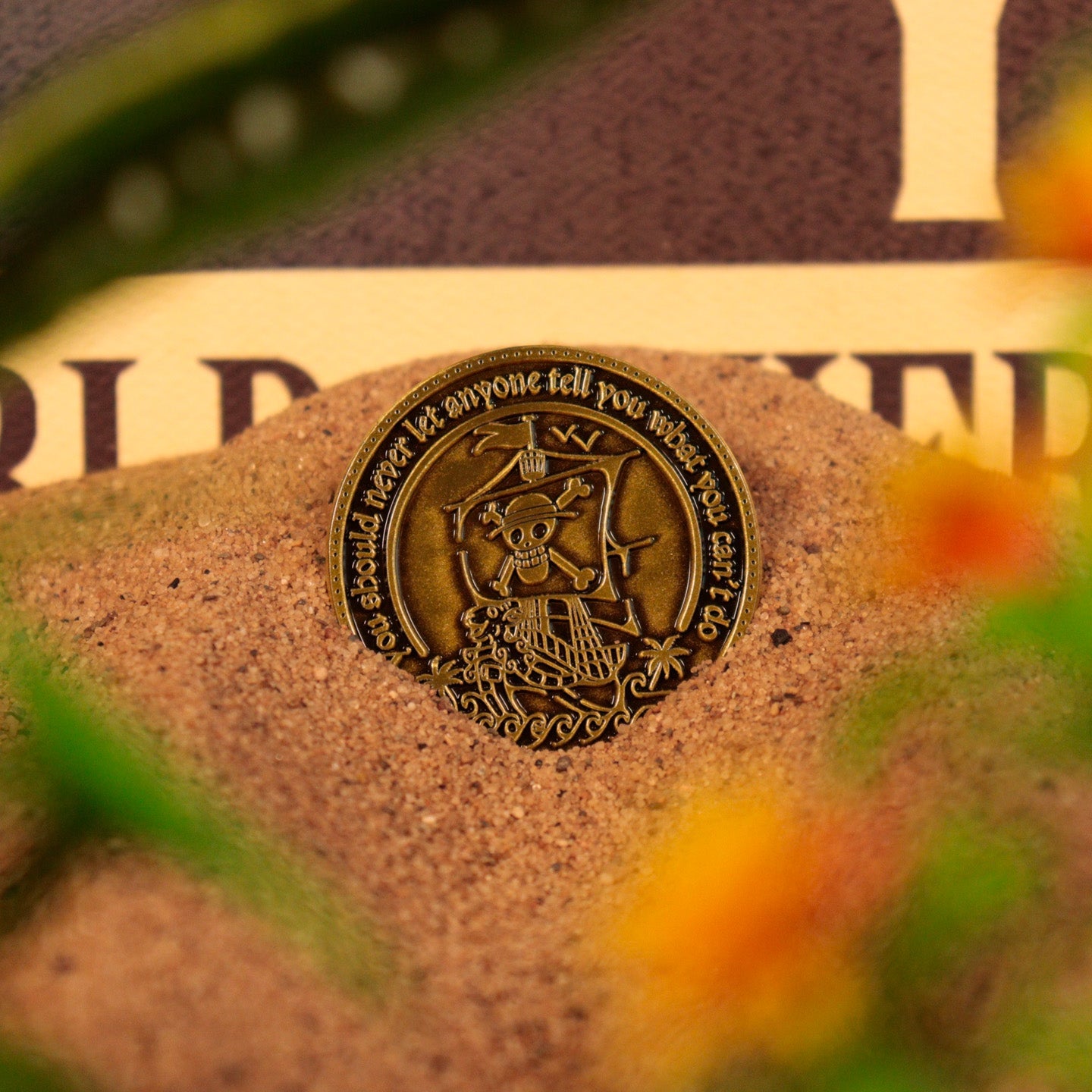 One Piece Collectible Coin