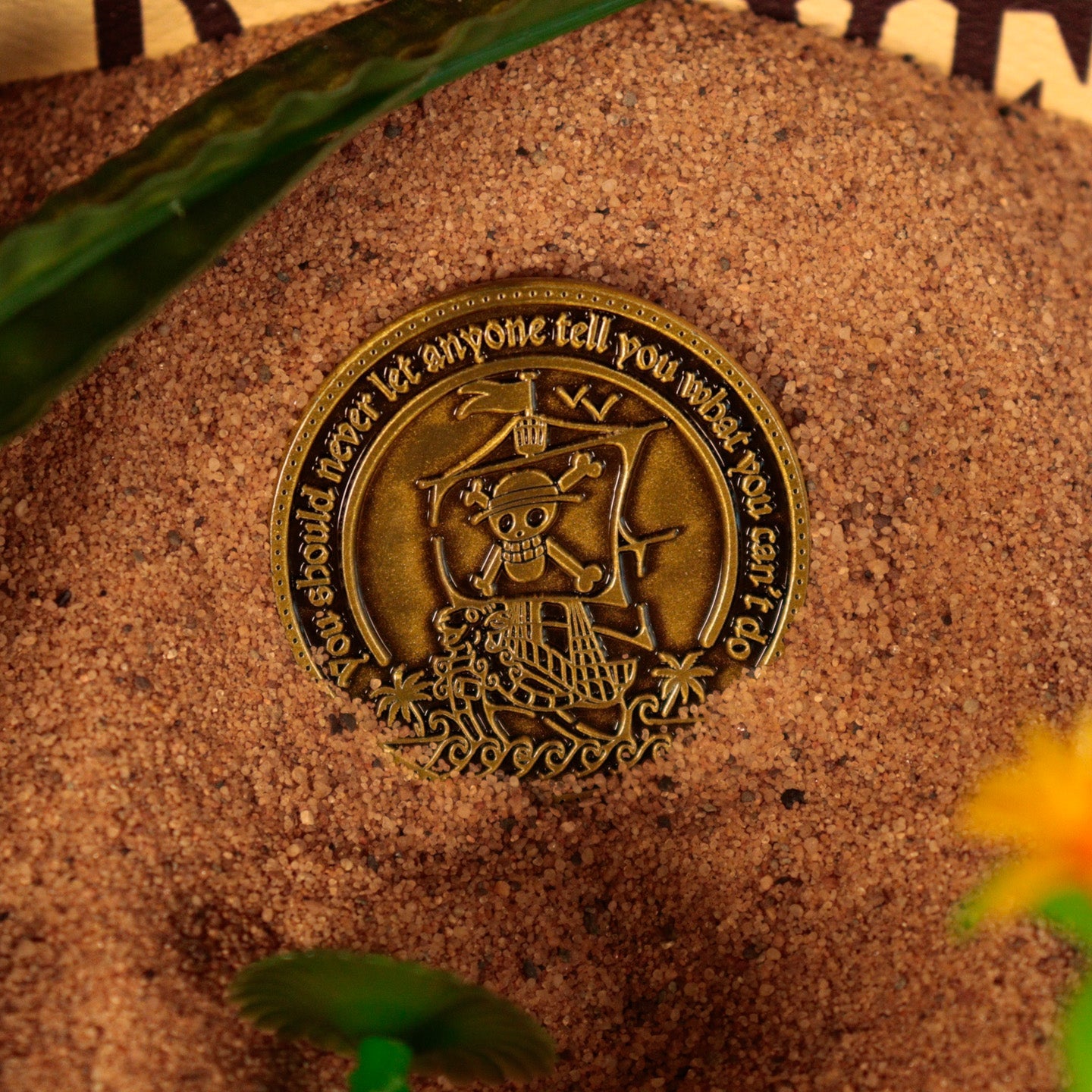 One Piece Collectible Coin