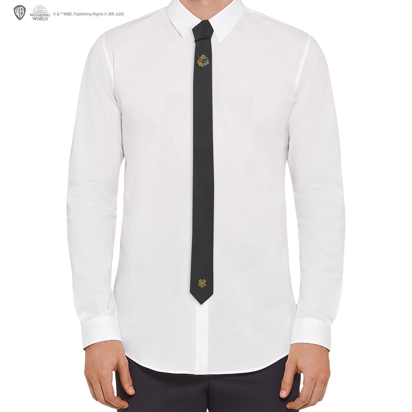 *Deluxe Hogwarts Tie