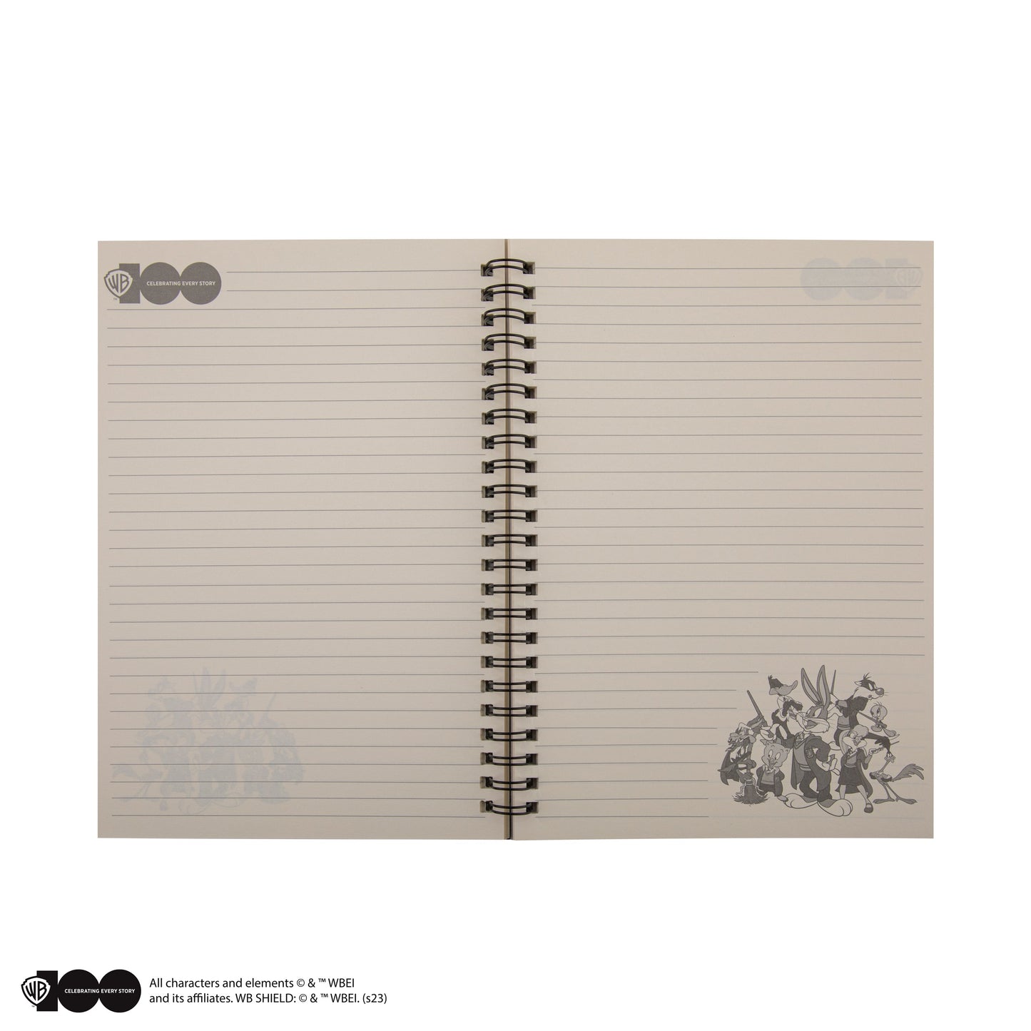 *Carnet Les maisons Poudlard des Looney Tunes